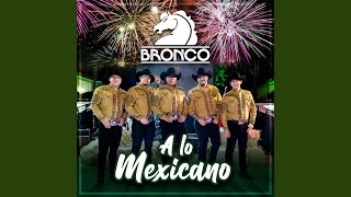 Nunca Voy a Olvidarte (Bronco Con Mariachi)