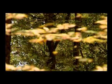 ZABALA FILM DE PREZENTARE-VARIOMEDIA-WWW.MIKEWB.EU