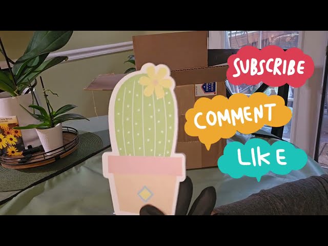 Judge.me YouTube video placeholder