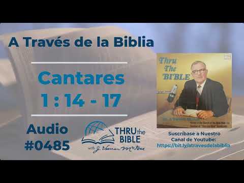 Cantares 1 : 14 - 17 #485  Dr J Vernon McGee #atravesdelabiblia #cantares
