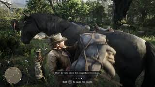 Red Dead Redemption 2 - Exit Pursued By A Bruised Ego: How To Remove & Equip Saddle Tutorial (2018)