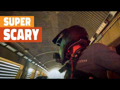 Not what I expected in Canada's pristine Rocky Mountains... 🇨🇦  | S1E40