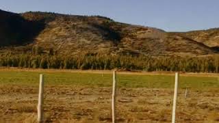 Sun kil moon - Ben&#39;s My Friend