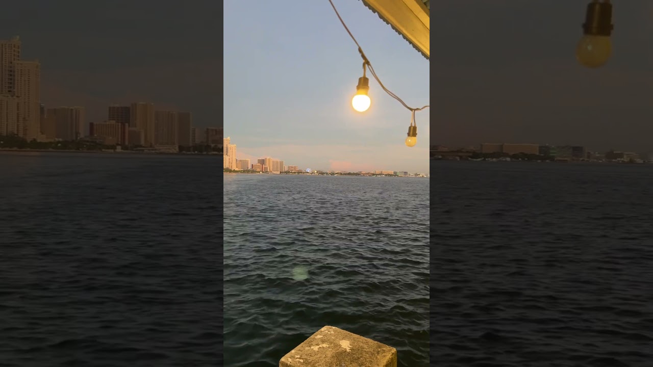 YouTube Short thumbnail