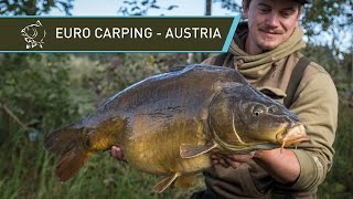 Euro Carping - Austria