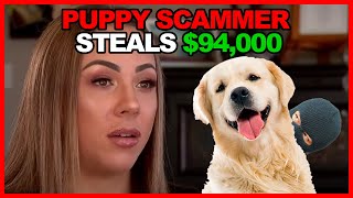 WARNING: $94,000 PUPPY SCAM - CAUGHT