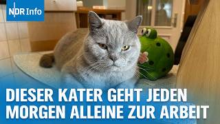 Muffins tägliches Ritual: Arbeitsbeginn in der Tierarztpraxis um 7:30 