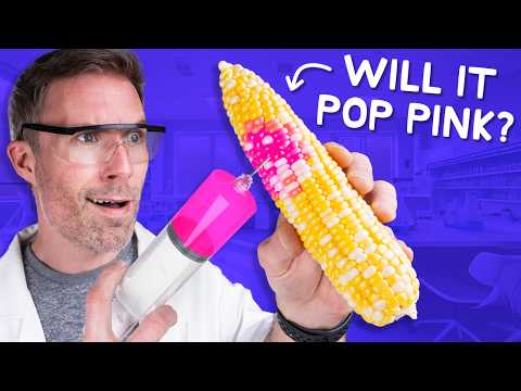 Testing 10 FOOD MYTHS in Real Life  • No Way #2