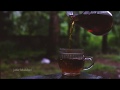 Rain Whatsapp Status Rainy Day Mazha Kattan Chaya Mansoon Tea