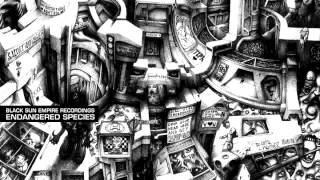 SKC - Spacepigz (Black Sun Empire Remix)