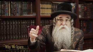 למה אנחנו לומדים - הרב חיים לייביש רוטנברג