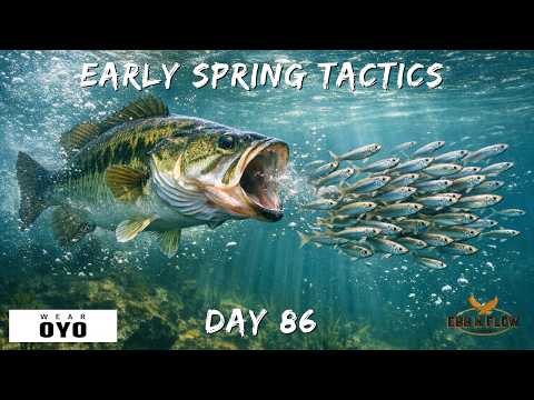 Spring Bass Fishing Secret: Alabama Rig vs. Jerkbait, The Only Lures You Need