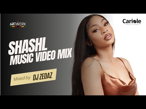Shashl Music Video Mix (Mixed by DJ Zedaz) @shashlvevo2374 @DJZedaz