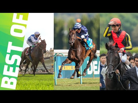 EN ROUTE VERS LE QATAR PRIX DE L'ARC DE TRIOMPHE 2025 | TOP COURSES