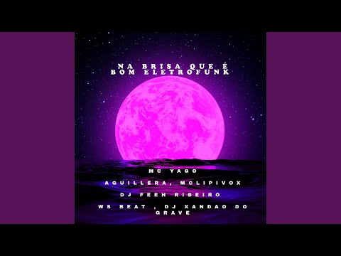 NA BRISA QUE É BOM VS O CHEIRO DO SKUNK (ELETROFUNK)