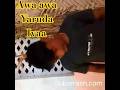 Senthil Awa Awa