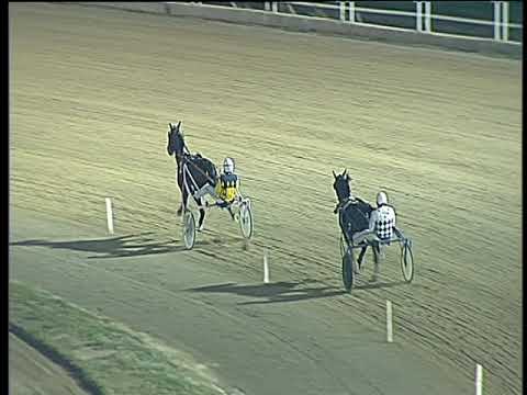 Trotto 29/10/2017 - prova di qualifica