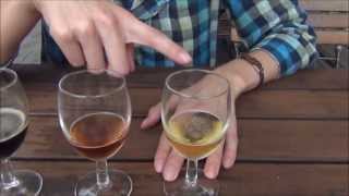 Eating Finnish Reindeer Meat while Drinking Finnish Beer at an outdoor terrace in Helsinki Finland