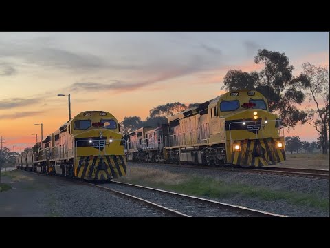Australian Freight & Passenger Trains Crossing Part 3 - 4K