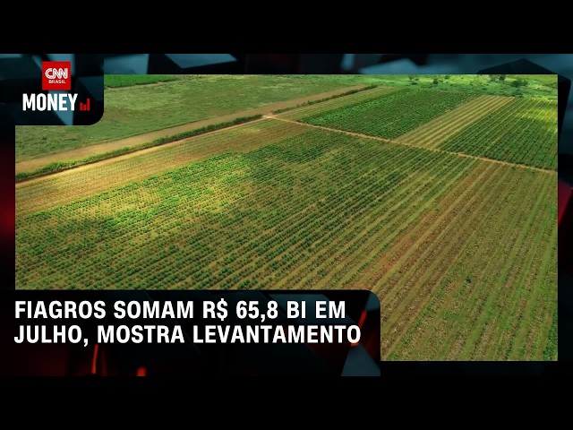 Fiagros somam R$ 65,8 bi em julho, mostra levantamento | ABERTURA DE MERCADO