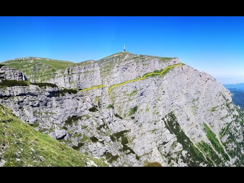 Brâna Mare a Caraimanului - Brâna Vaii Albe - Brâna Mare a Coștilei - Valea Galbenele- Hornul Coamei