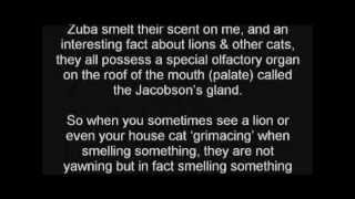 Traudi &amp; Zuba_(January 28, 2011).wmv