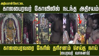 Temple video