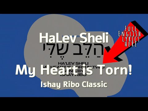 ALL ENGLISH WORDS HaLev Sheli הלב שלי ISHAY RIBO | Learn #Hebrew with #Israeli Songs