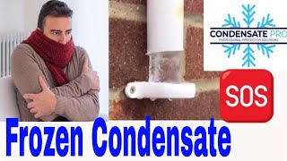 Frozen Condensate Pipe - How To Avoid Boiler Breakdowns Due To Frost