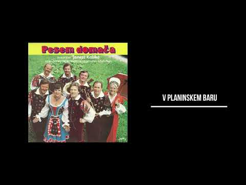 ANSAMBEL JANEZA KALŠEKA - V PLANINSKEM BARU