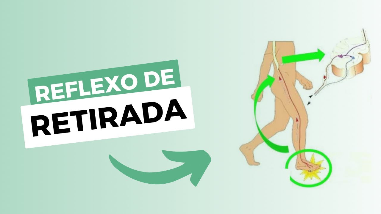 Reflexo de retirada | NEUROFISIOLOGIA