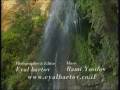 Water Springs