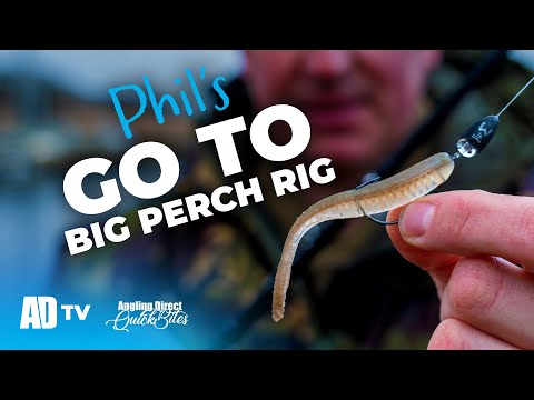 Target BIG PERCH - The Texas Rig In Detail  - Predator Fishing Quickbite