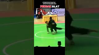 Download lagu Tutorial: Pencak silat technique. #silat #martialarts #mma #fighter mp3