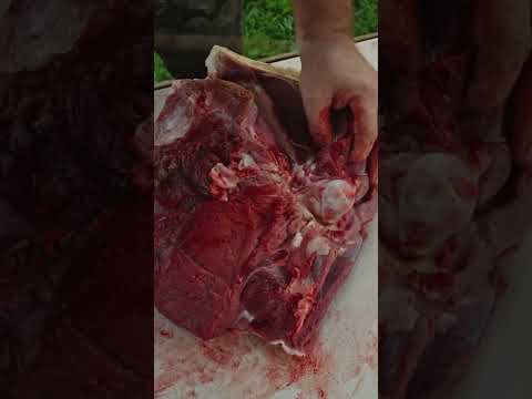 Don’t feed this to your dog. How to bone out a leg. #howto #butcher #deer #knifeskills #primitive