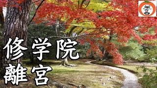 preview picture of video '紅葉 秋 の 修学院離宮 1 参観 京都府 京都市 左京区 Shugakuin Imperial Villa in Kyoto  【 うろうろ近畿 Travel Japan 】'
