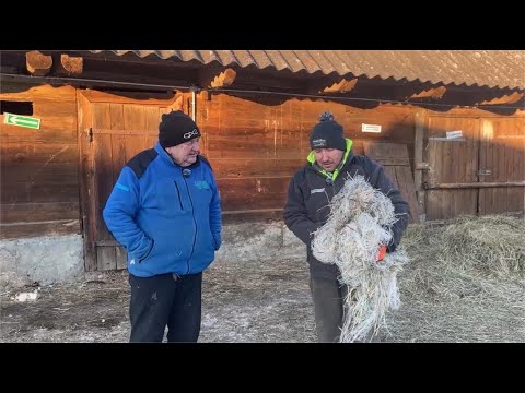 Dawno nie było takiej zimy Gienek z Andrzejem pracują na podwórku Rolnicy z Podlasia