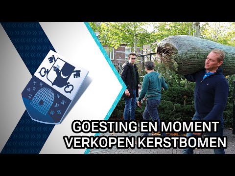 Goesting en Het Moment verkopen kerstbomen - 16 november 2020 - Peel en Maas TV Venray