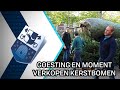 Goesting en Het Moment verkopen kerstbomen - 16 november 2020 - Peel en Maas TV Venray