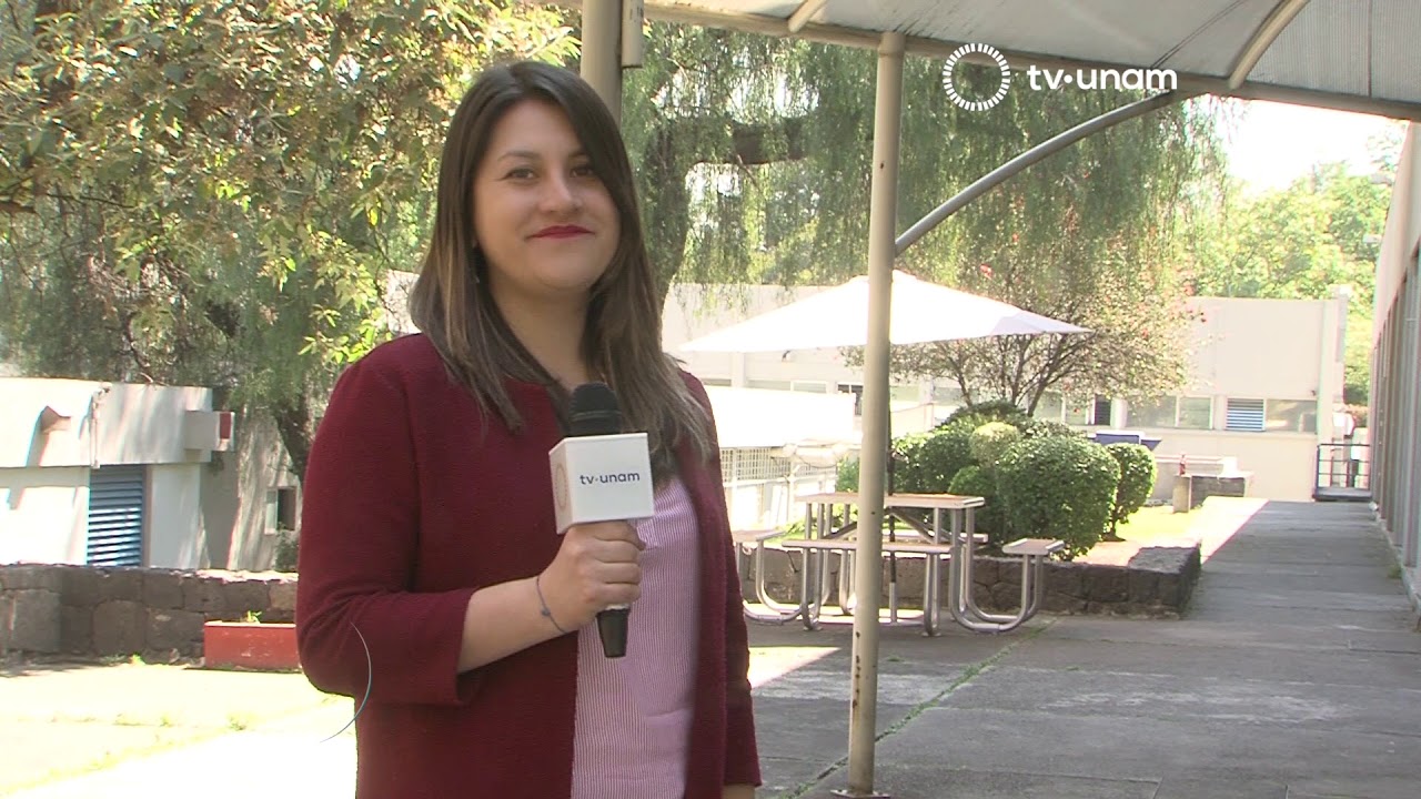 JERGA MEXICANA, USO DE FRASES COTIDIANAS. Y LOS REGALOS DE AMERICA AL MUNDO