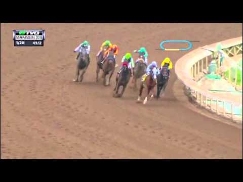 San Pasqual Stakes 2016 - 1° California Chrome