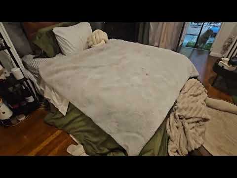 video 1
