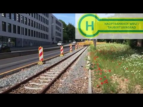 Mit dem Fahrrad entlang der Mainzelbahn