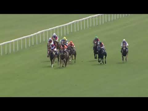 CH, 24. 5. 2018, 6. dostih - CENA WWW.BETINO.CZ