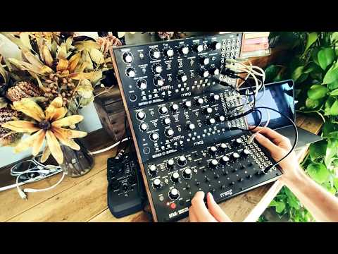 Another improv jam with 2x Moog Mother 32 + DFAM