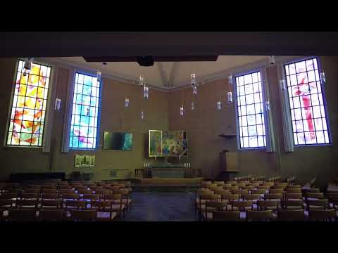 MongoTV_8147 - MIN GÅTUR - Del 3 - TORSDAG 20.Janaur 2022 -Kold Vinterdag Med Hård Kold Blæst og Sne