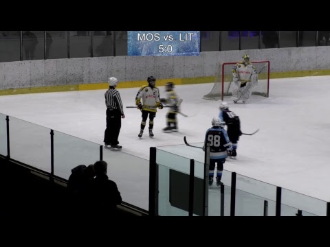 LIVE FINALE - Mostečtí Lvi vs. HC Litvínov - Easter Cup 2019 (U12) Day 3