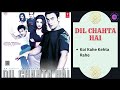 Koi Kahe Kehta Rahe || DIL CHAHTA HAI - 2001 || K.K., Shankar Mahadevan, Shaan.