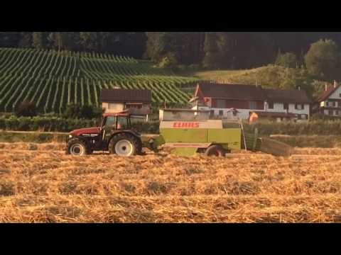 Gerber Heldswil mit Claas Quadrant