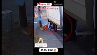 Golden Retriever Saves Child as Fuel Leak Triggers a Violent Truck Explosion